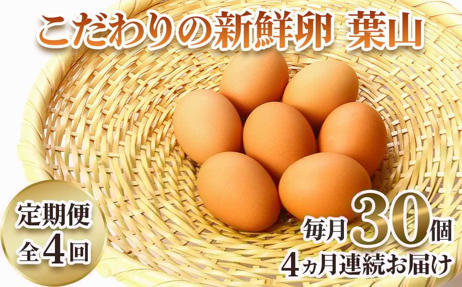 [定期便・全4回] こだわりの新鮮卵葉山 30個×4ヵ月 [2307]