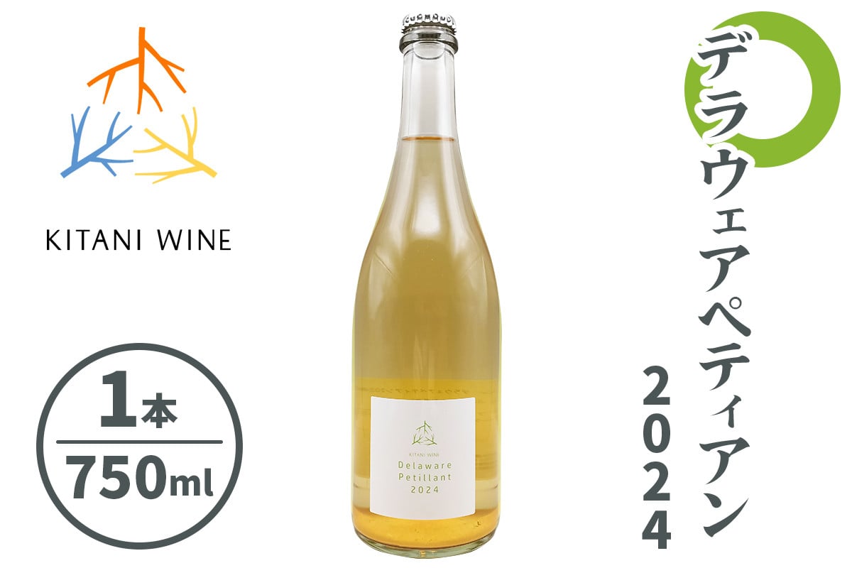 デラウェアペティアン 2024 (750ml×1本)｜ワイン 果実酒 奈良 香芝 [3004]