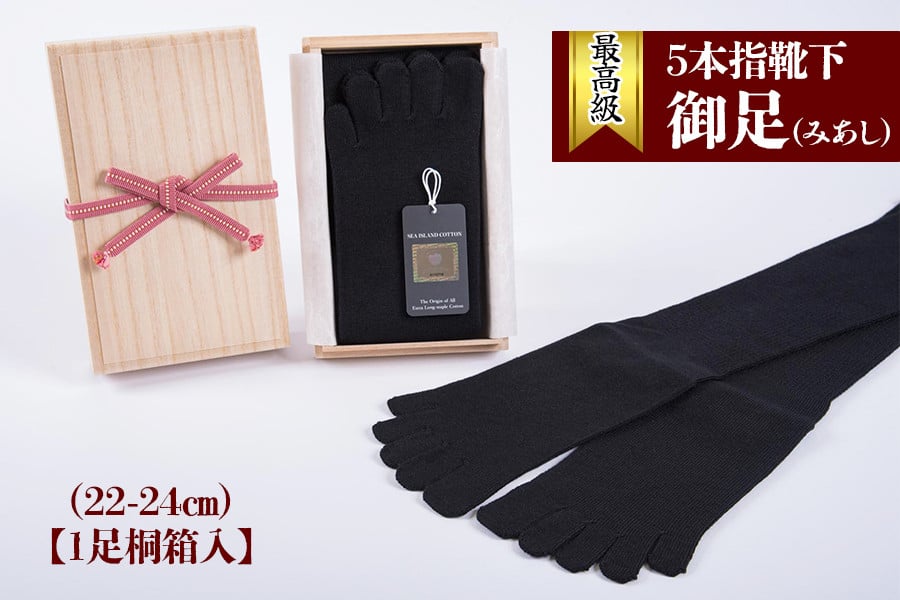 最高級5本指靴下「御足 (みあし)」(22-24cm)【1足桐箱入】[2493]