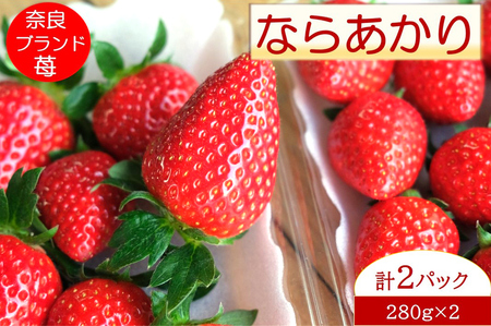 奈良県産ブランドいちご『ならあかり』約560g×1箱(2パック)｜いちご イチゴ スイーツ フルーツ 果物 奈良県 香芝市 [2823]