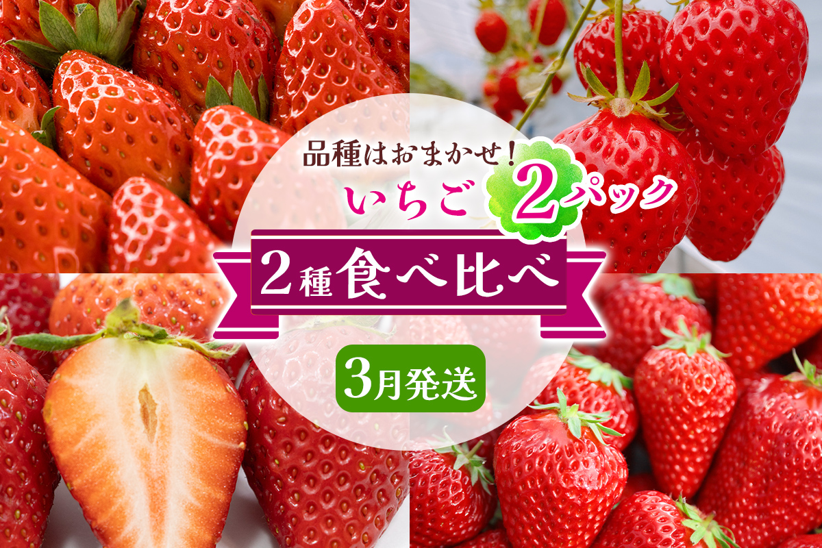 いちご 2種 (2パック) 食べ比べセット [3月発送] 品種はおまかせ！｜苺 イチゴ 果物 フルーツ 産地直送 [3228]