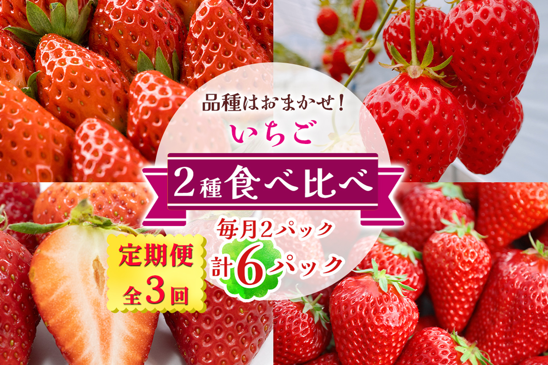 [定期便／全3回] いちご 2種 (2パック) 食べ比べセット 毎月お届け 1月から3月発送｜苺 イチゴ 果物 フルーツ 産地直送 [3233]