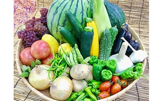 野菜と果物セット 産地直送！新鮮とれたて旬の野菜＆季節のフルーツ [果実的野菜 (イチゴ・スイカ・メロン・まくわ等) を含む] 1種以上 約1kg｜季節野菜 採れたて 安心 奈良県 [3244]