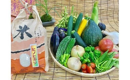 [野菜とお米5kgセット] 産地直送！新鮮とれたて旬の野菜＆ヒノヒカリ5kg ｜野菜セット 米5kg ヒノヒカリ 産地直送 奈良県 [3248]