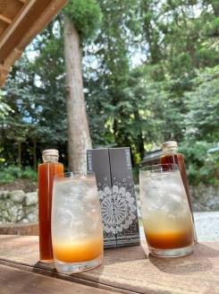 Jリーガー圍謙太朗×pickles-ya（共同開発） クラフトコーラ （希釈用） （E-COLA） ／ SONAS コラボ商品 添加物不使用 オークハニー 奈良県 葛城市【sona005】