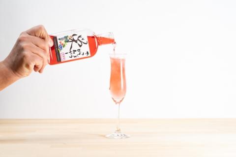 Jリーガー藤嶋栄介×pickles-ya（共同開発） ベリーのビネガードリンク （希釈用） やっしょうびねがー （２本セット） ／ SONAS コラボ商品 ブルーベリー 奈良県 葛城市【sona006】