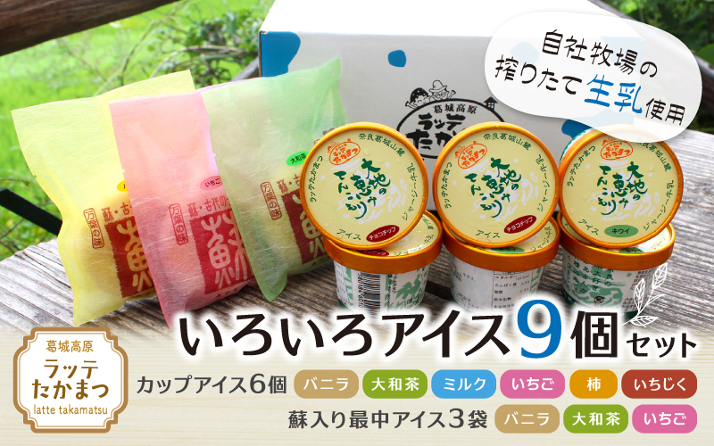 （冷凍） ラッテたかまつ いろいろアイス９個セット ／ チーズ入り 最中 モナカ いちご イチジク 柿【latt006】