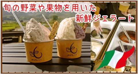 （冷凍） 木伊 オリジナル ジェラート 定番 人気4種8個入 ／ Coco-Make葛城 濃厚ミルク リッチチョコ いちごミルク 甘酒バナナ 農福連携 奈良県 葛城市【coco007】