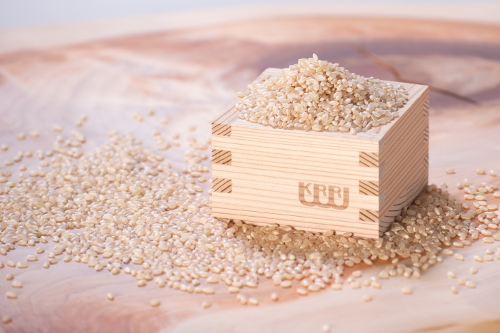 奈良県産有機JAS認証玄米100％使用玄米麺 菊芋 1袋 ／ 樞 クルル エシカル・サスティナブル SDGs 癒しの玄米麺 奈良県 葛城市【kuru001】