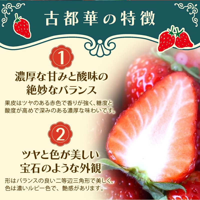 古都華 L～2Lサイズ 270g×2パック ／ 西田農園 ブランド いちご 苺 ことか フルーツ 果物 奈良県 葛城市【nsdf002】