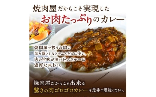味園特選 牛すじカレー200g×3個 国産黒毛和牛 / 焼肉ホルモン味園 カレー 奈良県 葛城市【ajen002】