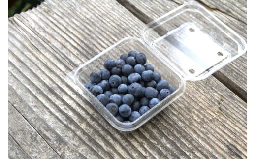 手摘みブルーベリー 100g×3個 【2026年7月中旬頃～8月中旬頃順次発送】／ 葛城 高原 牧場 【latt029】