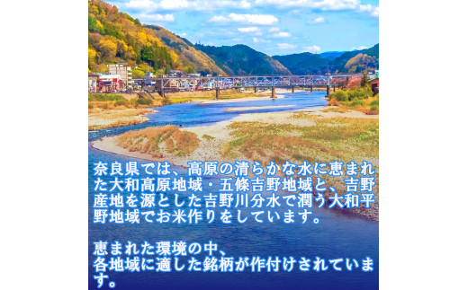 【令和7年産米】無洗米 奈良県産 こしひかり 15kg（5kg×3袋）／ 全農パールライス 米 お米 白米 国産 奈良県 葛城市 こめ コメ ライス ご飯 ごはん ふっくら もちもち つやつや おいしい 美味しい 贈り物 国産 特産品 産地直送 数量限定 人気 おすすめ 15キロ 【prr009A】