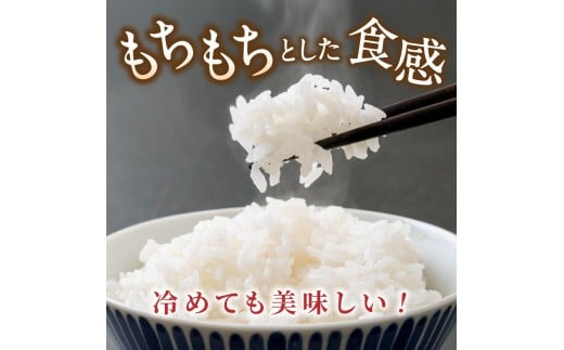 先行予約 葛城山麓米 ヒノヒカリ（白米）計2kg [ 2kg×1袋 ] 令和8年産 【2026年10月下旬～順次発送】／ スマイル葛城農業 精米 ごはん お米 米 おいしい ふっくら 農家直送 奈良県 葛城市【smlk011A】