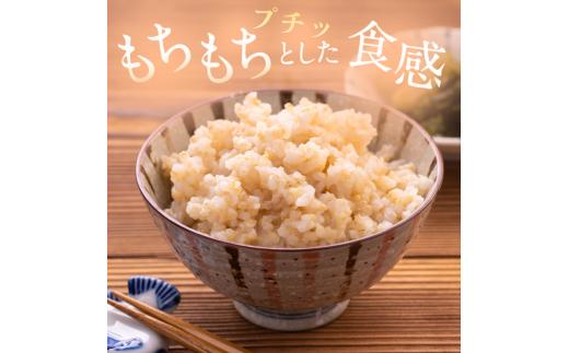 先行予約 葛城山麓米 ヒノヒカリ（玄米）計10kg [ 5kg×2袋 ] 令和8年産 【2026年10月下旬～順次発送】／ スマイル葛城農業 若手農家 玄米 栄養 新規就農 ごはん お米 米 おいしい ふっくら 農家直送 奈良県 葛城市【smlk025】