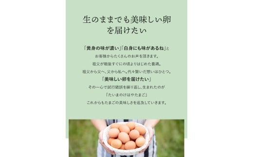 たいまのけはやたまご　20個入　6ヶ月定期便　／　定期便　たまご　生卵　奈良県　葛城市【tegg-tkb002】