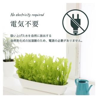 ミスティガーデン 2nd セット品３ ／ 株式会社ミクニライフ＆オート エコ 加湿器 電源不要 電気不要 抗菌 防カビ おしゃれ 奈良県 葛城市【mknl003】