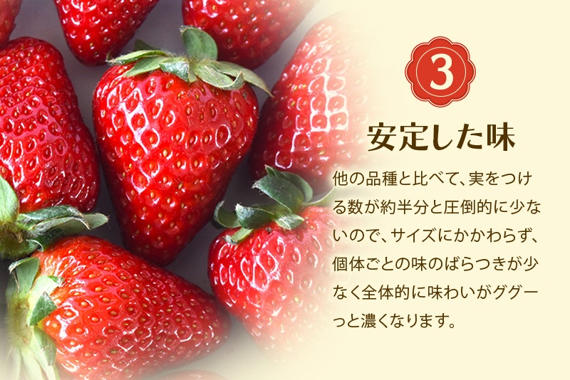 古都華 L～2Lサイズ 270g×2パック ／ 西田農園 ブランド いちご 苺 ことか フルーツ 果物 奈良県 葛城市【nsdf002】