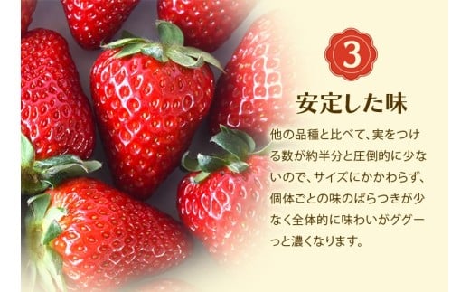 古都華　冷凍いちご　1kg ／ 西田農園 ブランド いちご 苺 ことか フルーツ 果物 奈良県 葛城市【nsdf005】