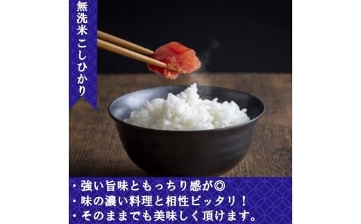  【令和7年産米】（3ヵ月定期便） 無洗米 奈良県産 こしひかり 計15kg（5kg×1袋×3回）／ 全農パールライス 米 お米 白米 国産 奈良県 葛城市 こめ コメ ライス ご飯 ごはん ふっくら もちもち つやつや おいしい 美味しい 贈り物 国産 特産品 産地直送 数量限定 人気 おすすめ 5キロ 5kg 3ヵ月【prr-tkb003】