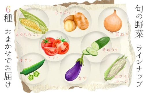 奈良県産 ※12ヶ月定期便※季節の大和野菜 おまかせ６種セット×12ヶ月 【入金確認後翌月以降発送】／ スマイル葛城農業 奈良 葛城市 野菜野菜 産直 新鮮 旬 茹で スープ サラダ グリル 名産 健康 美容 栄養 ふるさと納税 人気 家族 ギフト 奈良県 葛城市【smlk-tkb015】