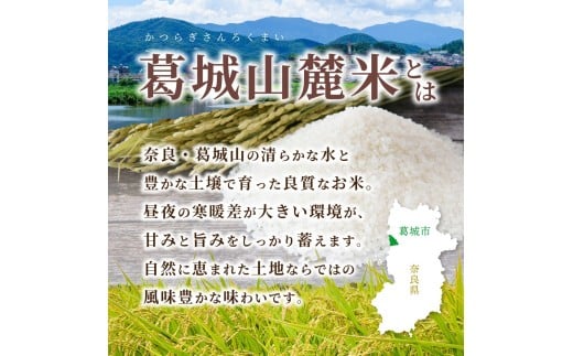 先行予約 ※3ヶ月定期便※ 葛城山麓米 ヒノヒカリ（白米）10kg ×3ヶ月 令和8年産 【2026年11月・12月・1月発送】／ 奈良 葛城 山麓米 産地直送 米 お米 新米 こめ 国産 甘い 美味い おにぎり ご飯 おかず 減農薬 特別 安心 安全 ギフト ふるさと納税 人気 ランキング 常備米 精米 白米 10kg 定期便【smlk-tkb003】