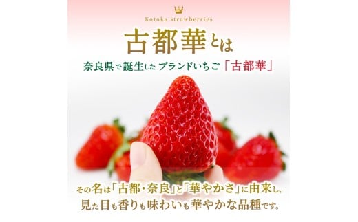 ブランド苺 冷凍 古都華 約2kg [250g×8パック] 【2026年5月上旬～6月下旬に順次発送】／ 若手農家 地域応援 古都華 いちご 冷凍いちご イチゴ 苺 奈良 奈良県産いちご 葛城市 産直 高級 甘い 濃厚 あかい フルーツ 限定 果物 旬 スイーツ ギフト ふるさと納税 人気 ランキング 1位【smlk032】