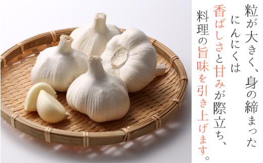 奈良県葛城産 にんにく 約1kg(500g×2袋)  【2026年5月上旬～7月下旬順次発送】／ スマイル葛城農業 大和野菜  にんにく 農家直送 産直 新鮮 旬 名産 健康 美容 栄養 奈良県 葛城市【smlk064】