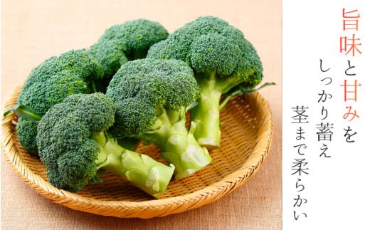 奈良県葛城産 ブロッコリー 約2kg 【2025年11月上旬～5月下旬順次発送】／ スマイル葛城農業 大和野菜  ブロッコリー 農家直送 産直 新鮮 旬 名産 健康 美容 栄養 奈良県 葛城市【smlk068】