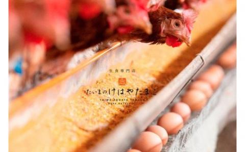 （冷蔵）生食「卵」専門店　たいまのけはやたまご　純国産鶏「もみじ」／道の駅かつらぎ　奈良県　葛城市【ekik003】