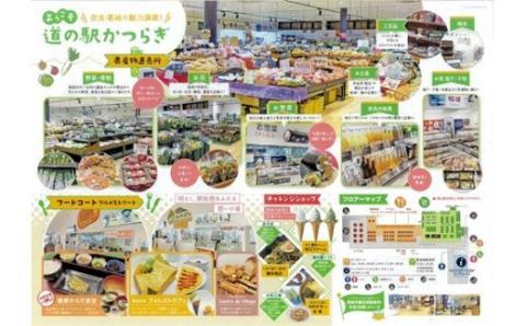 葛城便り　梅酒ケーキ　と　焼ドーナツ　５種　詰め合わせ　地元酒蔵　梅乃宿　の梅酒使用／道の駅　かつらぎ　奈良県　葛城市【ekik015】