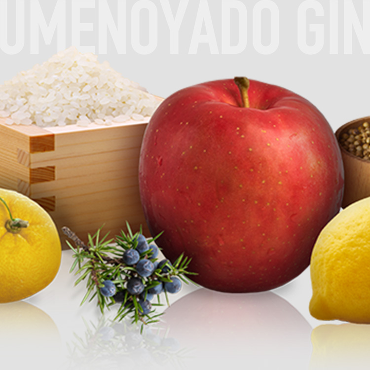 UMENOYADO GIN （ポーションタイプ） 2箱セット ／ 梅乃宿酒造 44度 ジン クラフトジン ジャパニーズジン お酒 スピリッツ 国産 ギフト お祝い プレゼント 奈良県 葛城市【umyd037】