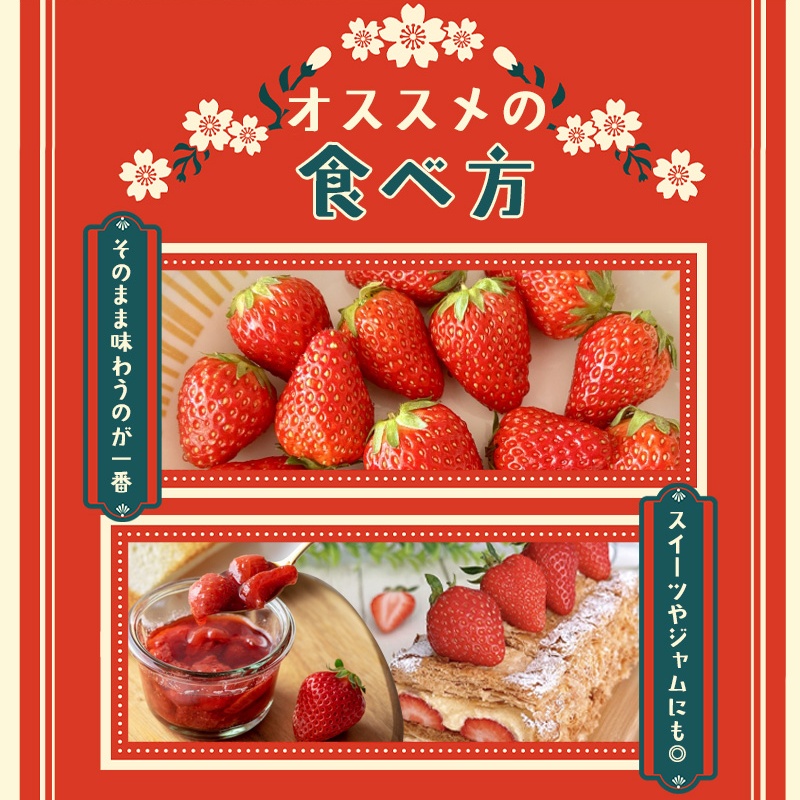 古都華 L～2Lサイズ 270g×2パック ／ 西田農園 ブランド いちご 苺 ことか フルーツ 果物 奈良県 葛城市【nsdf002】