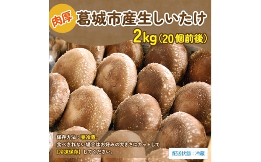 葛城市産生しいたけ（2kg） 椎茸 シイタケ 生 国産 セット 2kg 新鮮 菌床 スライス 奈良県 葛城市【kobo002】