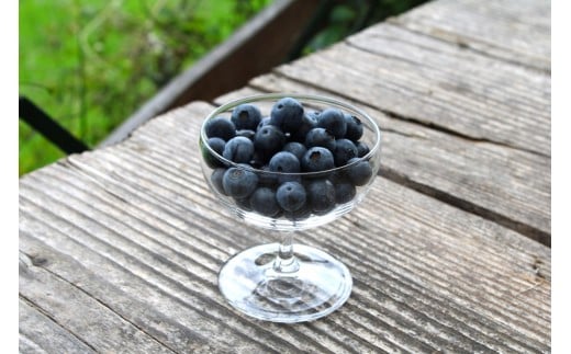 手摘みブルーベリー 100g×3個 【2026年7月中旬頃～8月中旬頃順次発送】／ 葛城 高原 牧場 【latt029】