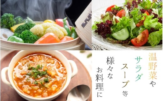 奈良県産 ※6ヶ月定期便※季節の大和野菜 おまかせ６種セット×6ヶ月 【入金確認後翌月以降発送】／ スマイル葛城農業 奈良 葛城市 野菜野菜 産直 新鮮 旬 茹で スープ サラダ グリル 名産 健康 美容 栄養 ふるさと納税 人気 家族 ギフト 奈良県 葛城市【smlk-tkb014】