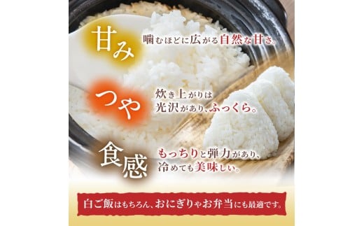 先行予約 ※6ヶ月定期便※ 葛城山麓米 ヒノヒカリ（白米）2kg ×6ヶ月 令和8年産 【2026年11月・12月・2027年1月・2月・3月・4月発送】／ 奈良 葛城 山麓米 産地直送 米 お米 新米 こめ 国産 甘い 美味い おにぎり ご飯 おかず 減農薬 特別 安心 安全 ギフト ふるさと納税 人気 ランキング 常備米 精米 白米 2kg 定期便【smlk-tkb004】