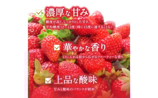 ブランド苺 新鮮 古都華 (大粒) 約500g [250g×2パック] 【2026年1月上旬～5月下旬に順次発送】／ スマイル葛城農業 ブランド いちご 苺 ことか イチゴ スイーツ フルーツ 甘い 果物 奈良県 葛城市【smlk001】