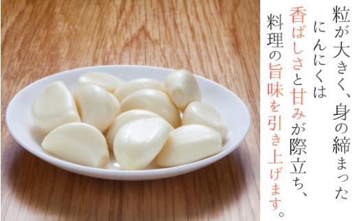 奈良県葛城産 訳あり にんにく 約1kg(500g×2袋)  【入金確認後１か月以内に発送】／ スマイル葛城農業 若手農家 新規就農者 にんにく 農家直送 産直 新鮮 旬 名産 健康 美容 栄養 奈良県 葛城市【smlk017】
