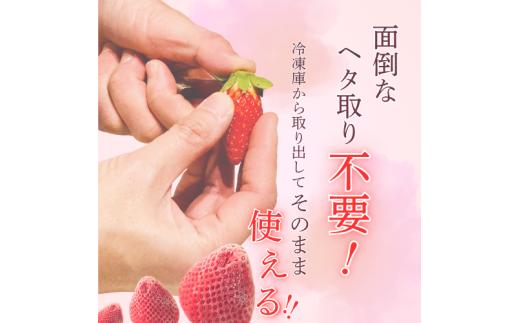 ブランド苺 冷凍 古都華 約1.5kg [250g×6パック] 【2026年5月上旬～6月下旬に順次発送】／ 若手農家 地域応援 古都華 いちご 冷凍いちご イチゴ 苺 奈良 奈良県産いちご 葛城市 産直 高級 甘い 濃厚 あかい フルーツ 限定 果物 旬 スイーツ ギフト ふるさと納税 人気 ランキング 1位【smlk031】