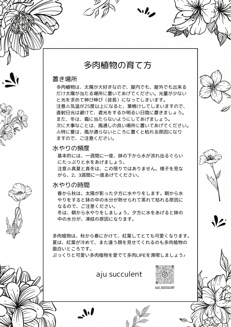 多肉植物 木箱寄せ植え ／ aju succulent 植物 インテリア アレンジ ガーデニング 15種 そのまま飾れる プレゼント ギフト 奈良県 葛城市【ajus009】