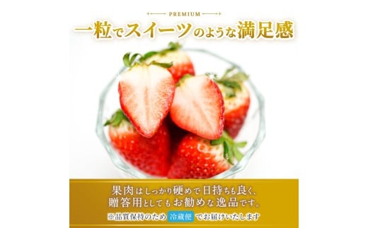 ブランド苺 新鮮 古都華 (小粒) 約500g [250g×2パック] 【2026年1月上旬～5月下旬に順次発送】／ スマイル葛城農業 ブランド いちご 苺 ことか イチゴ スイーツ フルーツ 甘い 果物 奈良県 葛城市【smlk006】