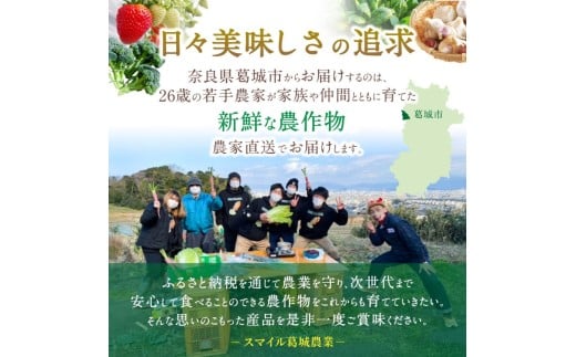 奈良県産 季節の大和野菜 おまかせ６種セット 【入金確認後２週間以内に発送】／ スマイル葛城農業 奈良 葛城市 野菜野菜 産直 新鮮 旬 茹で スープ サラダ グリル 名産 健康 美容 栄養 ふるさと納税 人気 家族 ギフト 奈良県 葛城市【smlk041】