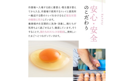 たまごかけご飯セット 卵40個入り ／ たいまのけはやたまご 卵 たまごかけご飯 おたまはん お米 生卵 奈良県 葛城市【tegg006】