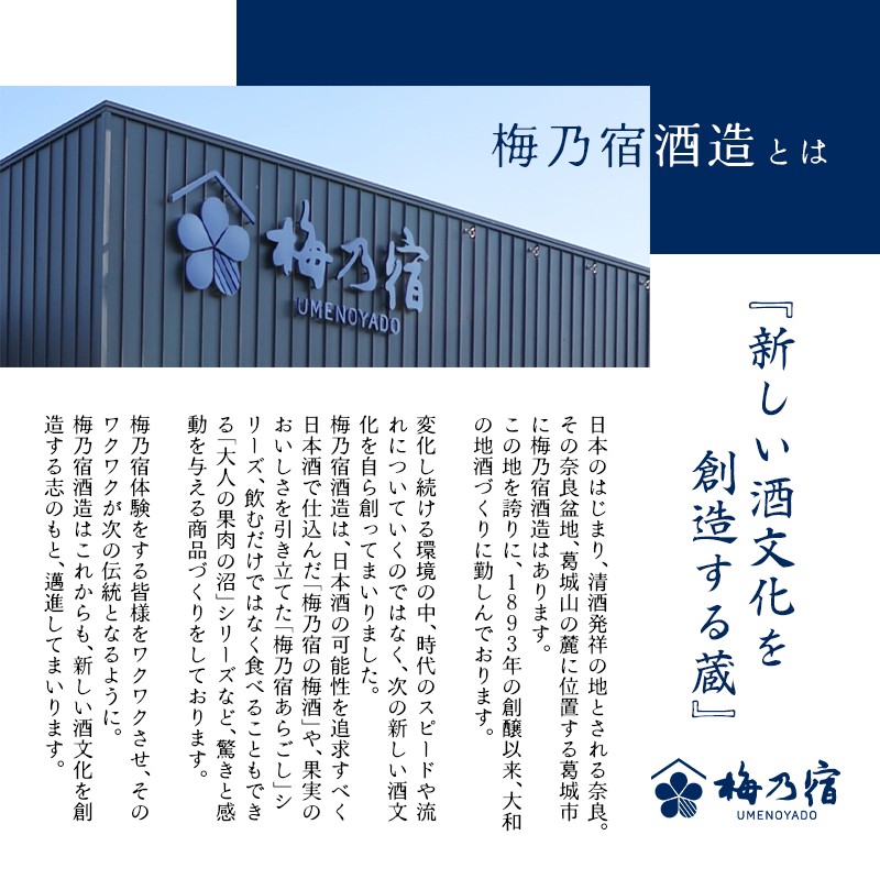 割って楽しむ あらごしジンジャー+あらごしれもん 720mL 2本 セット ／ 梅乃宿酒造 リキュール 国産 奈良県 葛城市【umyd024】