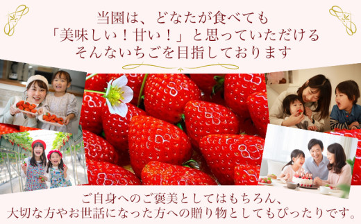 【 いちご２月から計4回定期便 】 ◆古都華　約３００g×２パック×４回 ◆ 【今朝摘みの丸笑いちご園】 ／ フルーツ いちご 苺 イチゴ 果物 くだもの 新鮮 完熟 朝採り 高級 希少品種 甘い 奈良県 葛城市【maru-tkb005】