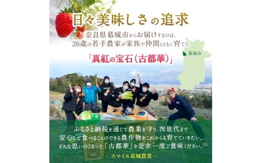 ブランド苺 新鮮 古都華 (大粒) 約500g [250g×2パック] 【2026年1月上旬～5月下旬に順次発送】／ スマイル葛城農業 ブランド いちご 苺 ことか イチゴ スイーツ フルーツ 甘い 果物 奈良県 葛城市【smlk001】