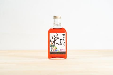 Jリーガー藤嶋栄介×pickles-ya（共同開発） ベリーのビネガードリンク （希釈用） やっしょうびねがー （２本セット） ／ SONAS コラボ商品 ブルーベリー 奈良県 葛城市【sona006】