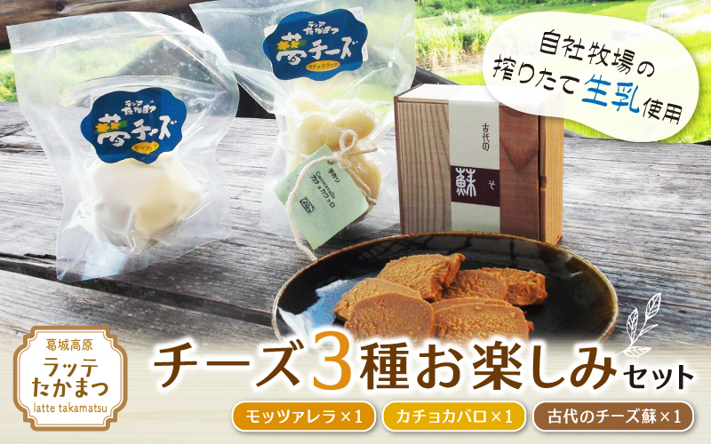 （冷蔵） ラッテたかまつ チーズ ３種お楽しみセット ／ モッツアレラ カチョカバロ 古代のチーズ 蘇【latt001】