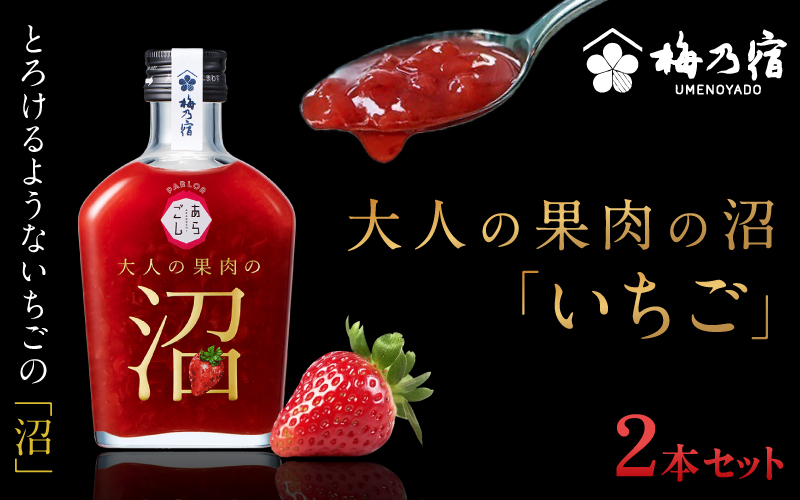 大人の果肉の沼 「いちご」 2本セット ／ 梅乃宿酒造 お酒 リキュール 苺 イチゴ 果実酒 いちご酒 ギフト 人気 お祝い プレゼント 奈良県 葛城市【umyd038】